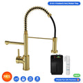FNX Bathrooms Gold 3-in-1 Instant Boiling Water Tap with Pull-Out Spray, Filter & Boiler Tank
