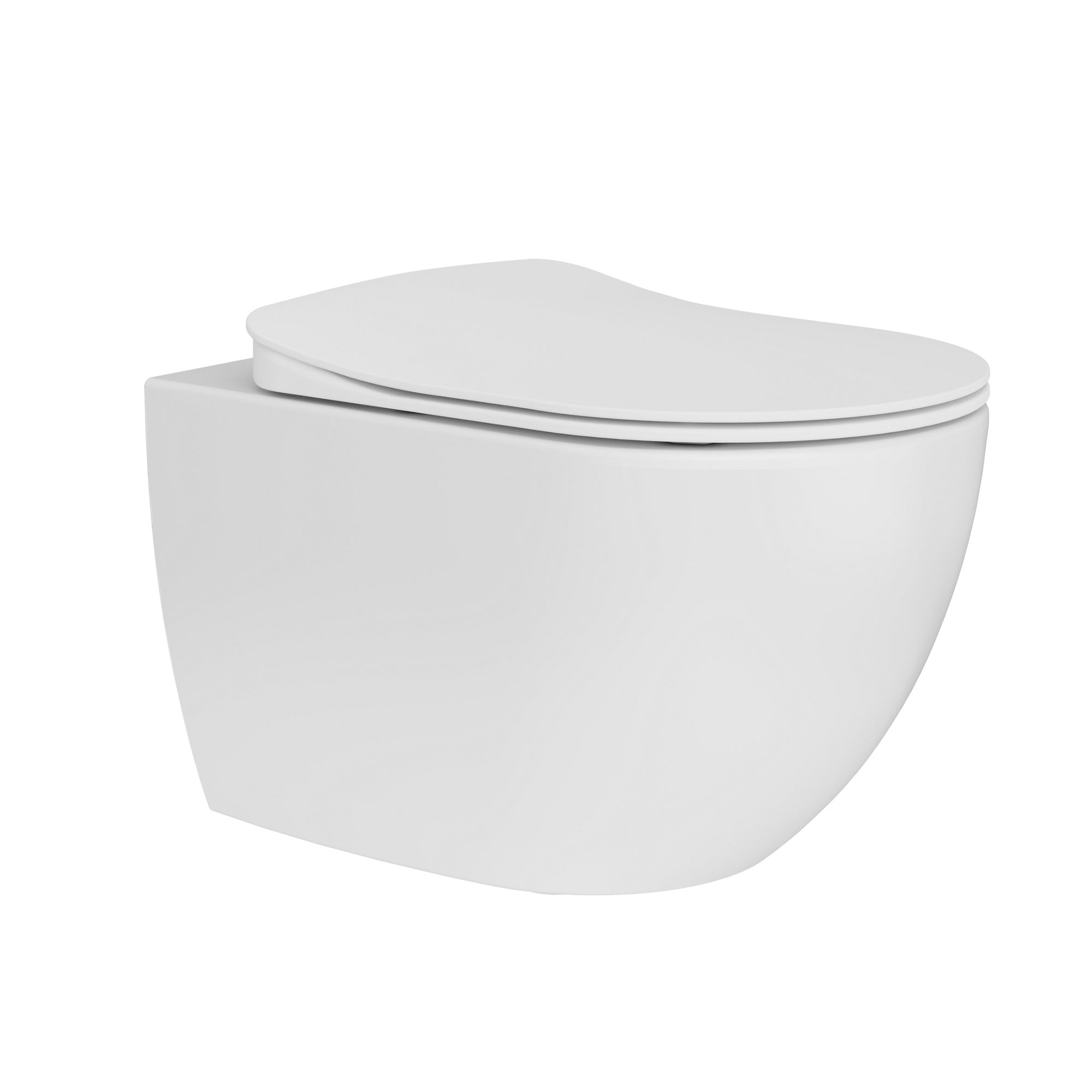 Rimless Wall Hung Toilet Pan & Concealed Cistern Matt Black Round Button Flush Plate