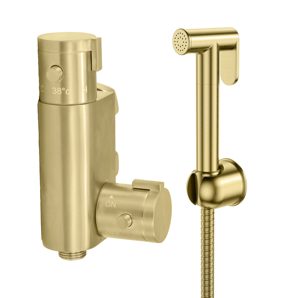 Thermostatic Bidet Shower Mixer Tap & Handset with Valve Set - Brushed Brass Finish, Wall Mounted