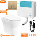 Bubly Bathrooms™ Rimless D-Shape Back To Wall Toilet, Dual Flush Concealed Cistern & Brushed Brass Plate