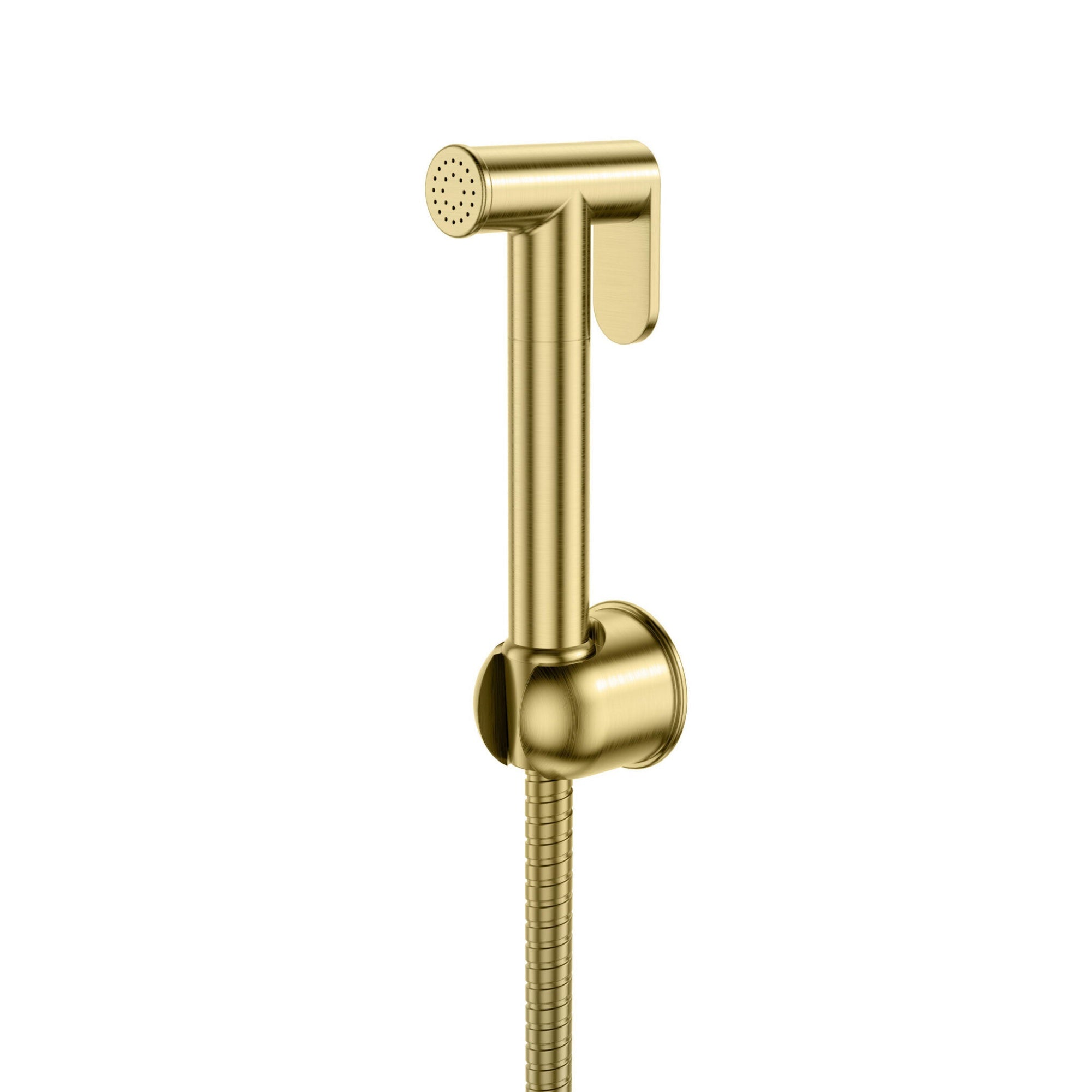Douche Handset Flexi Holder Brushed Brass Wall Mounted Gun Handle