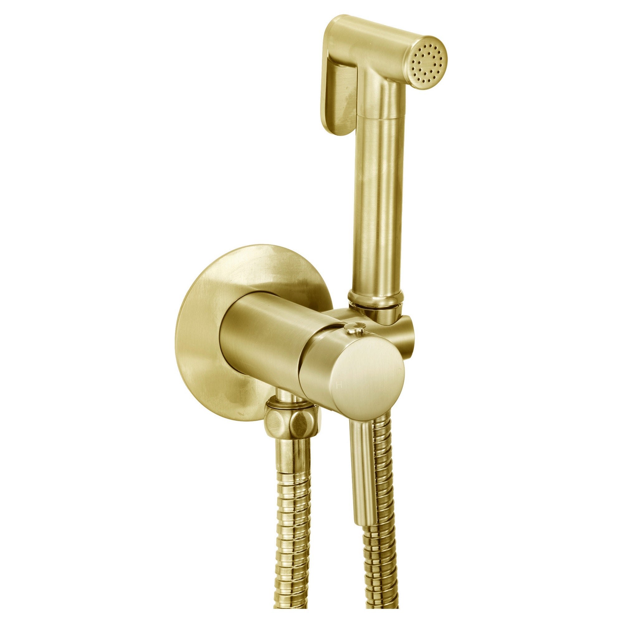 Integrated Douche Valve Kit Brushed Brass Wall Mounted Manual Mixer Handle