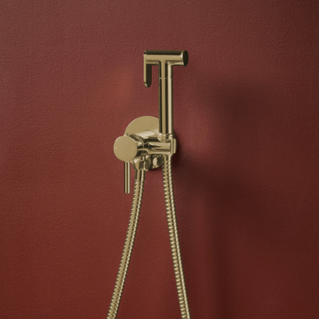 Integrated Douche Valve Kit Brushed Brass Wall Mounted Manual Mixer Handle