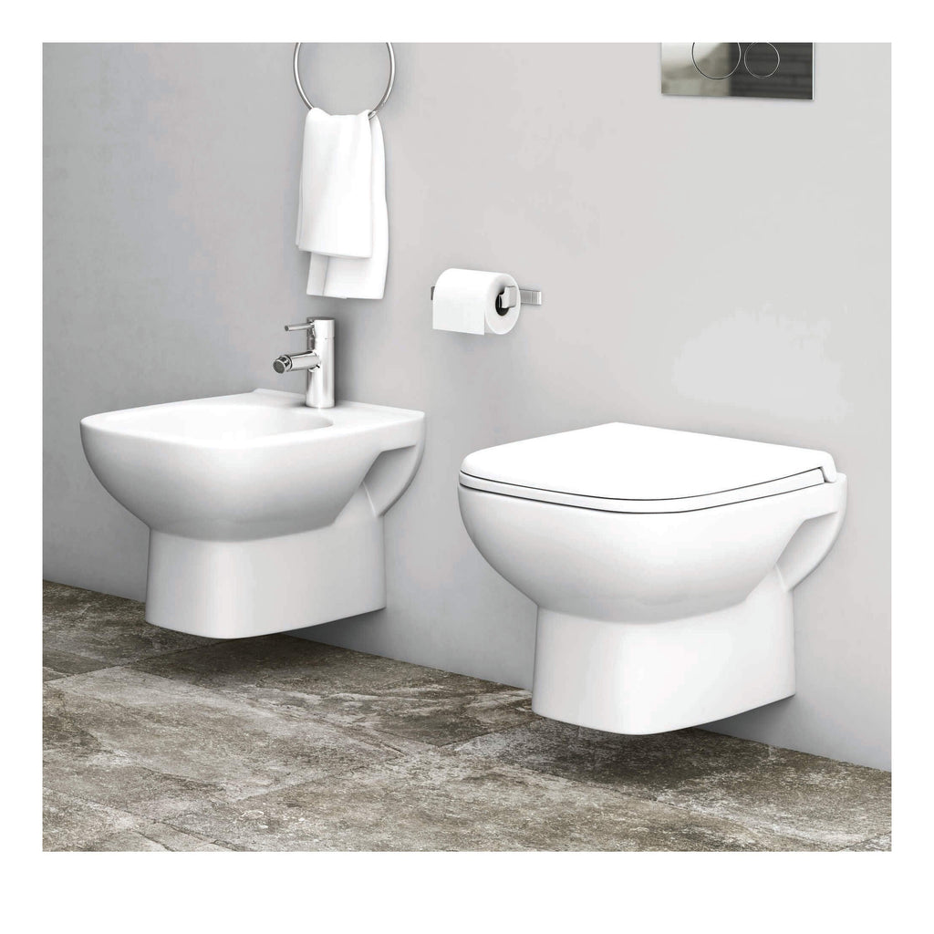 RAK Origin 62 Wall Hung Toilet And Urea Soft Close Seat - Alpine White